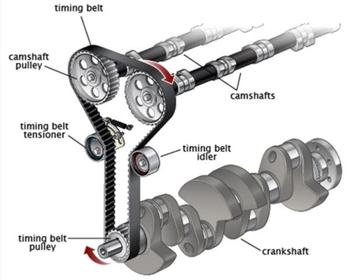 belt bearing